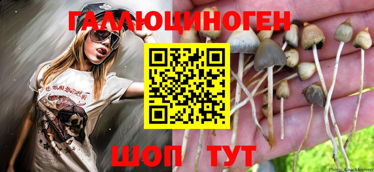 Псилоцибиновые грибы мицелий Обнинск