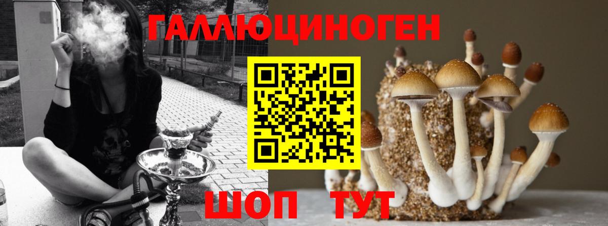 Галлюциногенные грибы мицелий  Вход с VPN  Обнинск 